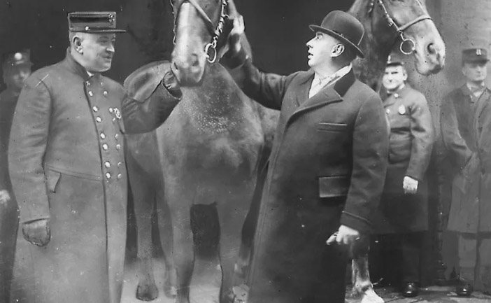 dan teddie mayor thompson